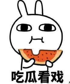 娱乐吃瓜酱相互体谅,相互体谅，共度美好时光